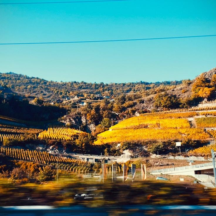 Entertainment zone at night in France